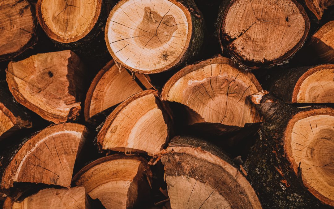 The Ultimate Guide to Selecting the Best Trees for Firewood